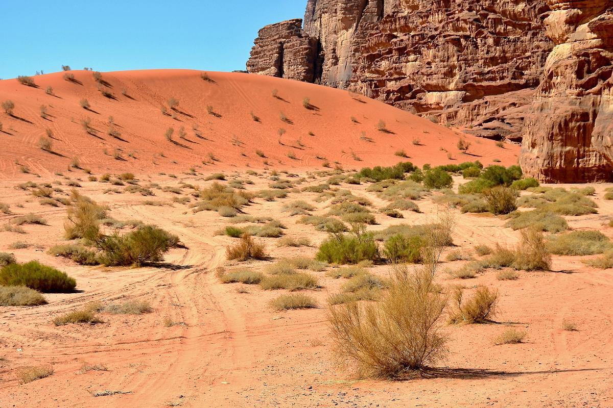 Wadi Rum Desert Secret Camp Вади-Рам Экстерьер фото
